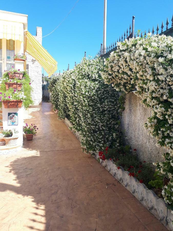 Bed And Breakfast Angolo Fiorito Чивитавеккья Экстерьер фото
